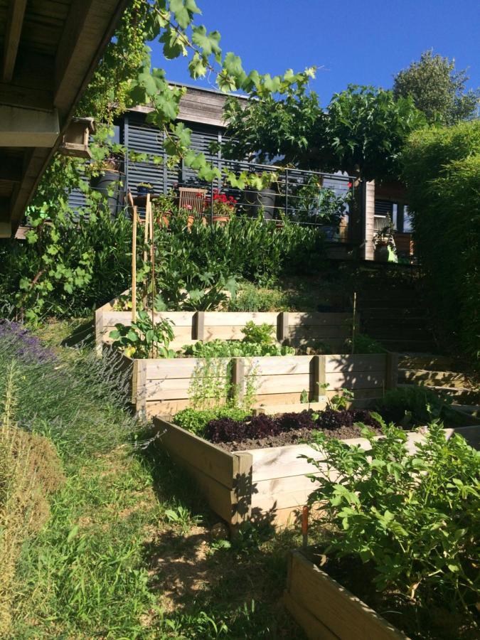 Les Terrasses De Rochetaillee Bed and Breakfast Buitenkant foto
